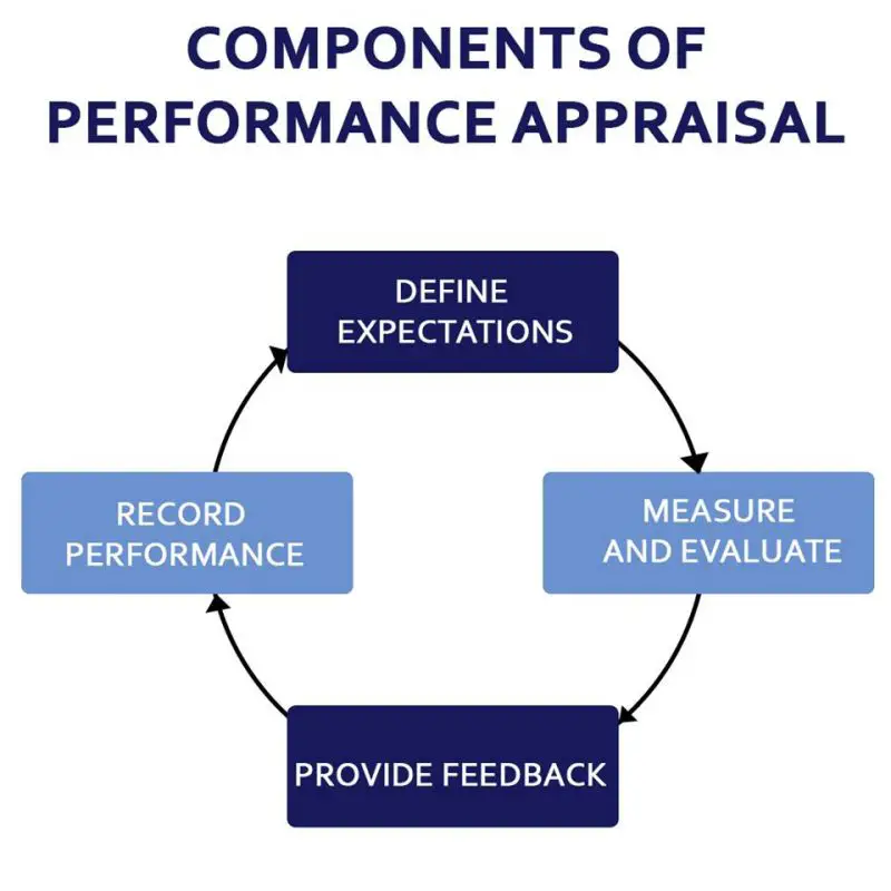 A chart showing the process of performance appraisal